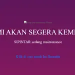 Web SIPINTAR PIP pip.kemendikdasmen.go.id Tidak Bisa Diakses, Ada Apa?